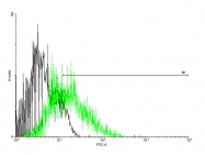 H00001234-B02P - CD195 / CCR5