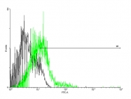 H00001238-B02P - CCBP2