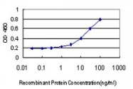 H00001288-M01 - Collagen type IV alpha 6 chain