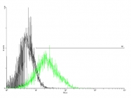 H00001438-B01 - CD116 / CSF2RA