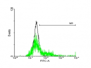 H00001903-B01P - EDG3 / S1P3