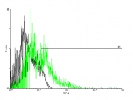 H00002015-B01P - EMR1 / TM7LN3