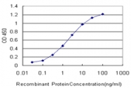 H00002035-M01 - EPB41 / Protein 4.1