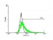 H00003119-B01P - HLA class II DQ beta 1 / HLA-DQB1