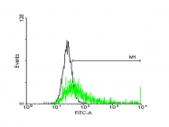 H00003125-B02P - HLA class II DR beta 3 / HLA-DRB3