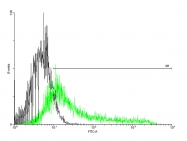 H00003570-B01P - CD126 / IL6R