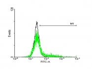 H00003597-B01 - CD213a1 / IL13RA1