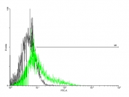 H00003598-B01P - CD213a2 / IL13RA2