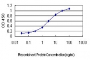 H00003843-M01 - RanBP5 / Importin-5