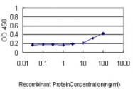 H00003884-M01 - Keratin-33B (KRT33B)
