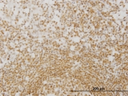 H00004350-M06 - MPG / ANPG