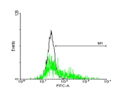 H00004935-B01P - GPR143 / OA1
