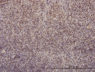 H00005984-M01 - RFC4 / RFC37