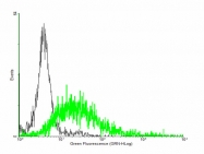 H00006094-B01P - Tetraspanin-23 (TSPAN23)