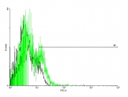 H00006693-B01P - CD43 / Leukosialin