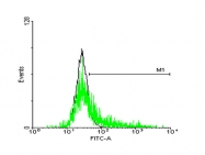 H00006745-B01 - SSR1 / TRAPA