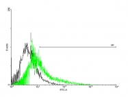 H00007179-B01P - TPTE