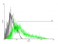 H00007850-B01P - CD121b / IL1R2