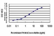 H00007867-M01 - MAPKAP Kinase-3