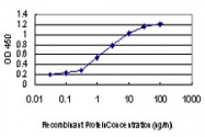 H00007867-M02 - MAPKAP Kinase-3