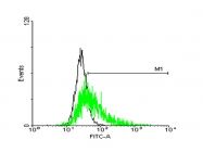 H00009248-B01P - GPR50