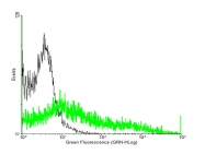 H00009289-B01P - GPR56 / TM7XN1