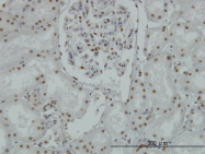 H00023028-M04 - AOF2