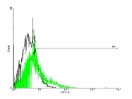 H00027202-B01P - GPR77 / C5L2