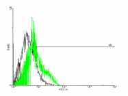 H00055507-B01P - GPRC5D