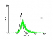 H00055890-B01P - GPRC5C / RAIG3