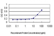 H00064399-M01 - Hedgehog-interacting protein / HHIP