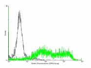 H00080328-B01P - ULBP2 / NKG2D ligand 2