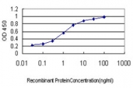 H00083999-M01 - Kremen protein 1