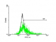 H00256710-B03P - GLIPR1-like protein 1