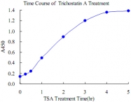 MAB0018 - TP53 / p53