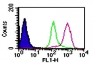 MAB0060 - ARHGDIB / D4-GDI