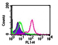 MAB0066 - CD282 / TLR2
