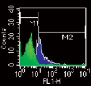 MAB0071 - CD284 / TLR4