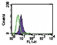 MAB0086 - CD286 / TLR6