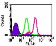 MAB0087 - CD289 / TLR9