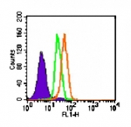 MAB0109 - TLR5