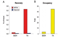 MAB0119 - Glucocorticoid receptor