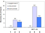 MAB0120 - POLR2A
