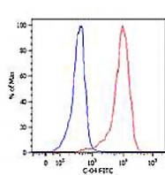 MAB0857 - Cytokeratin 18