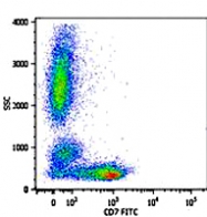 MAB0873 - CD7