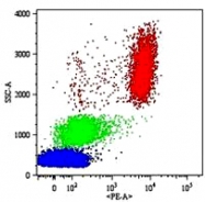 MAB0879 - CD16b