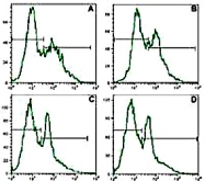 MAB0882 - CD25 / IL2RA
