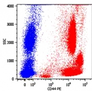 MAB0885 - CD44
