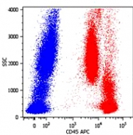 MAB0886 - CD45 / LCA