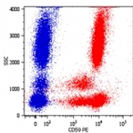 MAB0896 - CD59